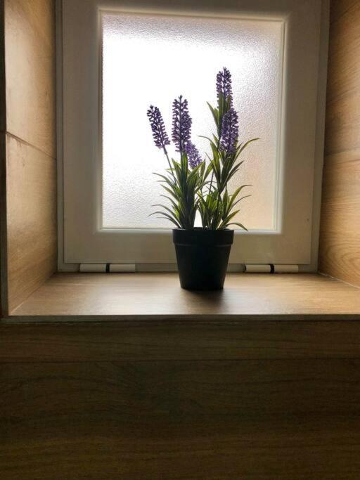 A&C Cozy Apartment Elvas Ngoại thất bức ảnh